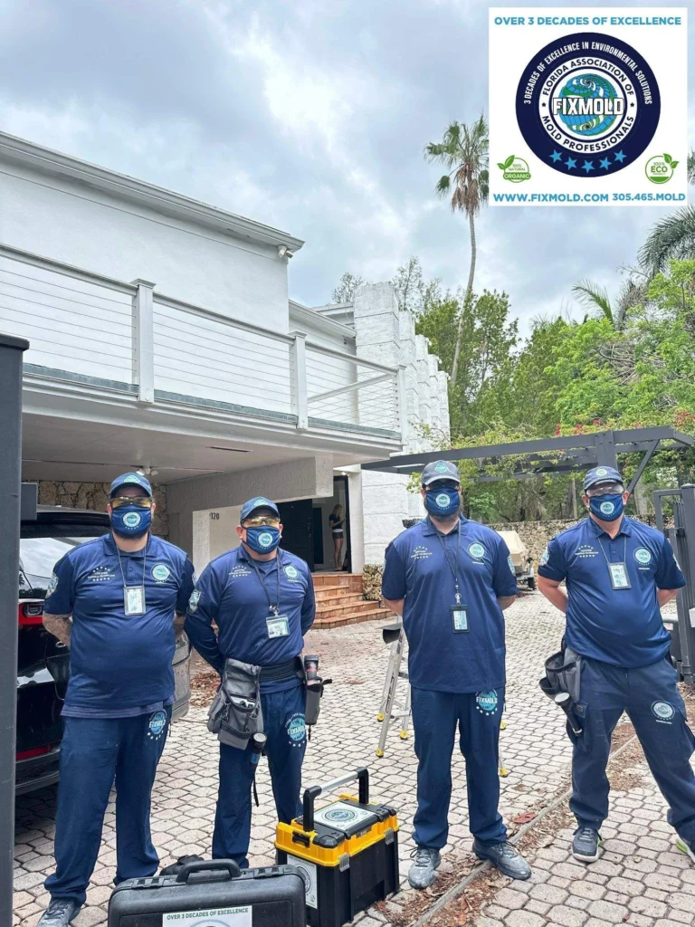 Fixmold Team