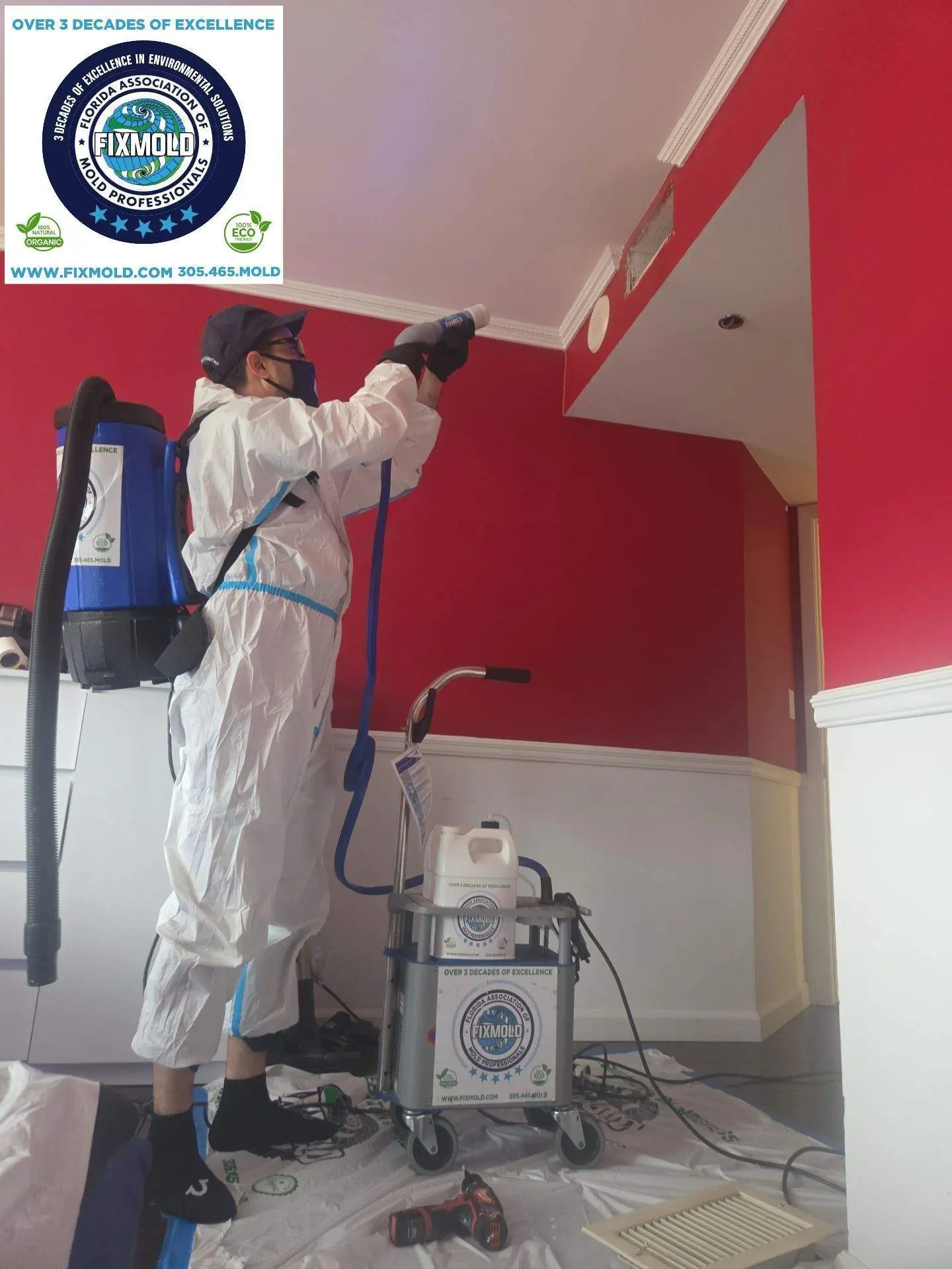 Mold remediation by Fixmold