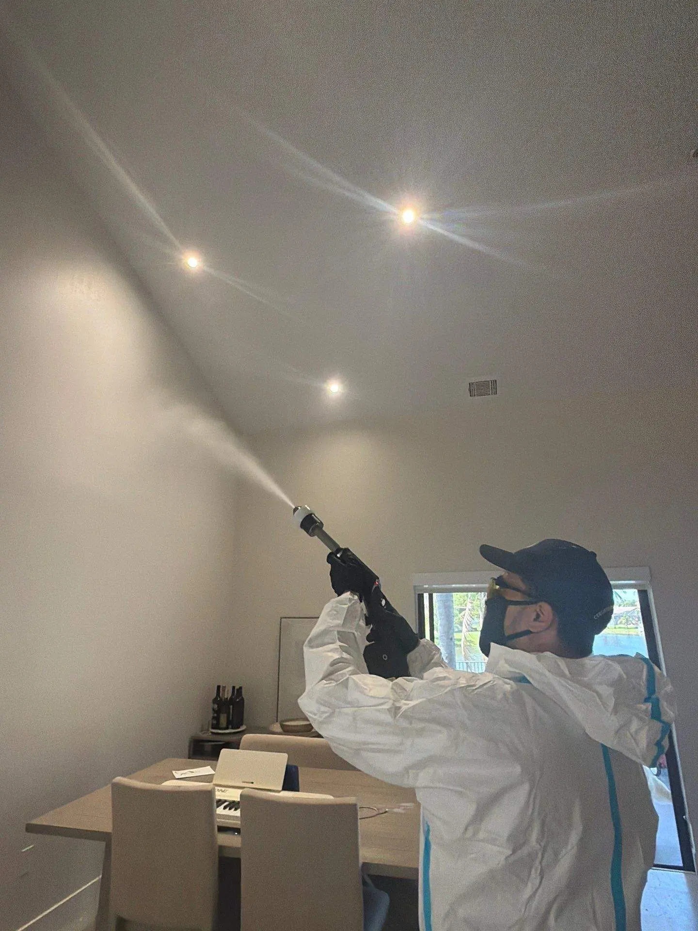 Mold remediation