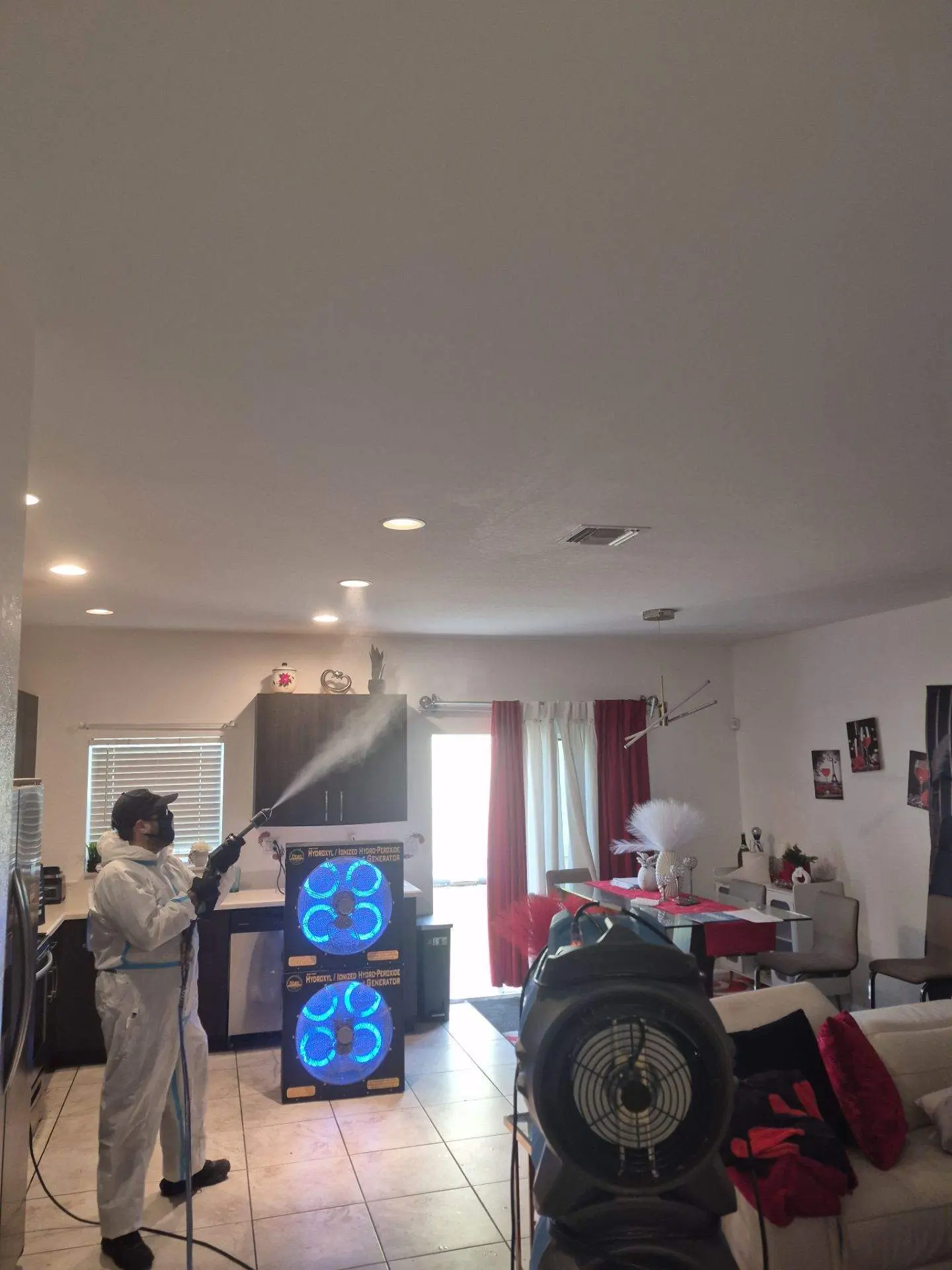 Fixmold Mold removal