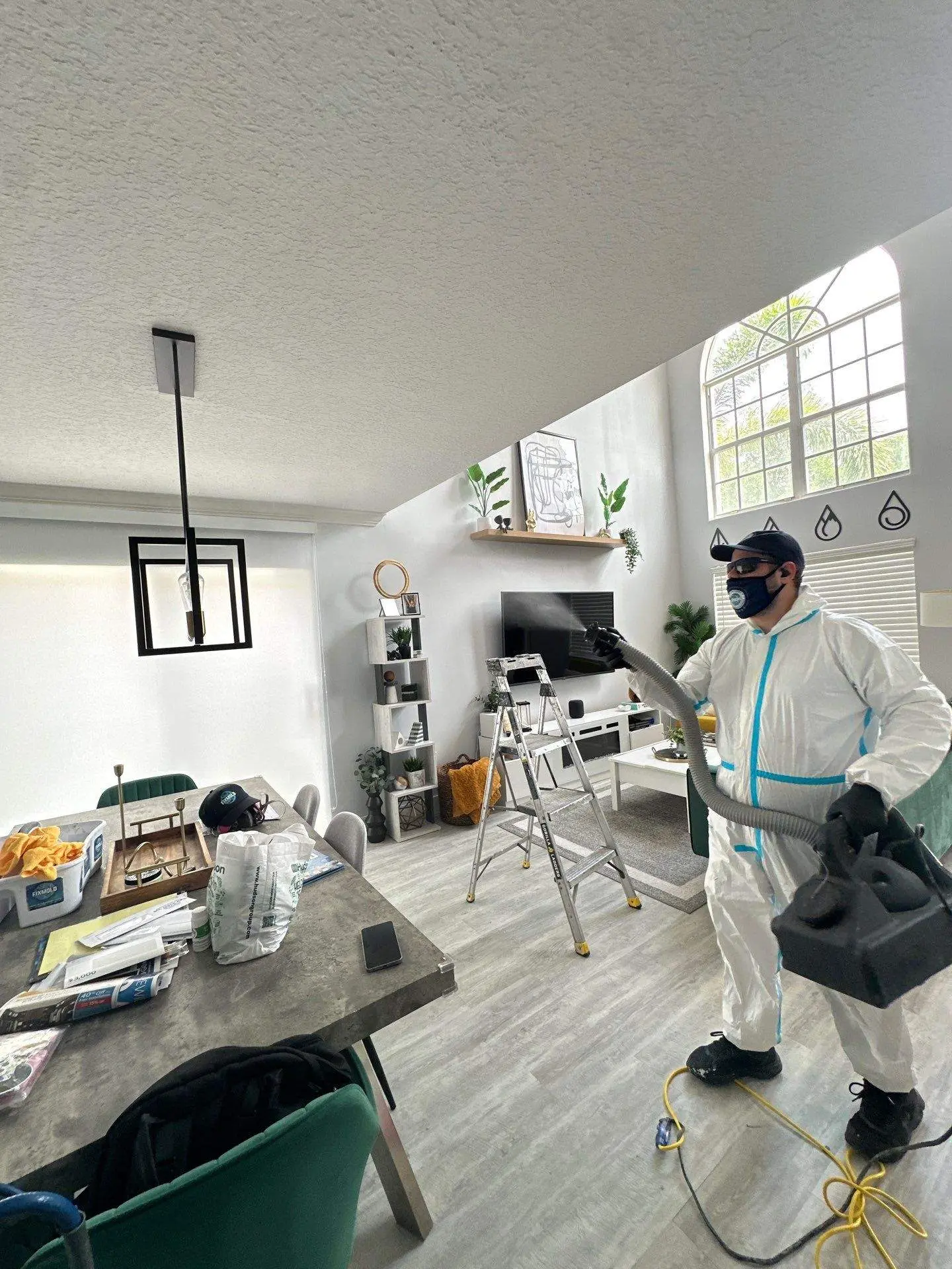 Mold remediation