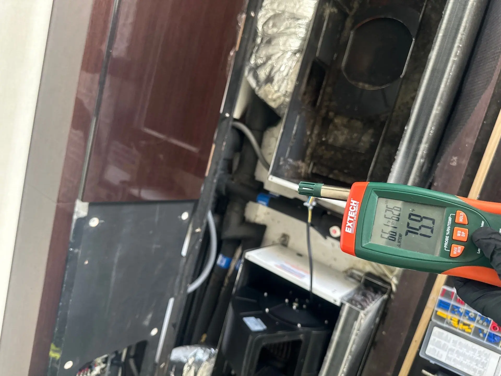 Mold testing