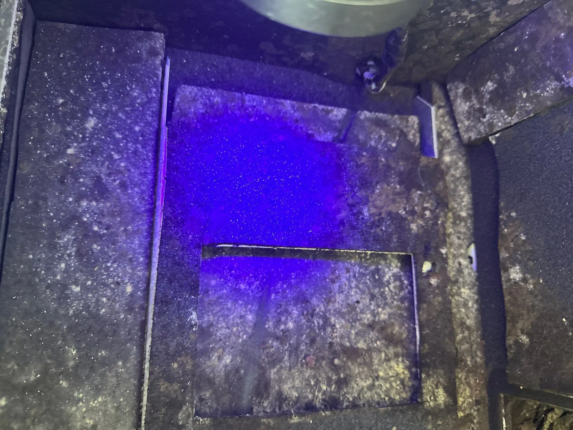 Fixmold miami
