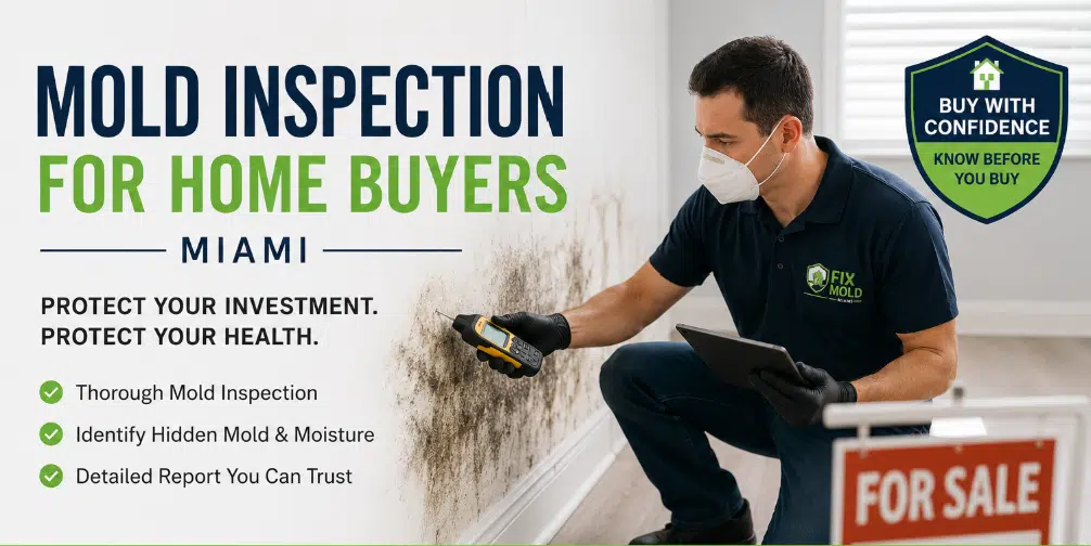 The Complete Guide to Broward Mold Inspection: Protect Your Home and Health