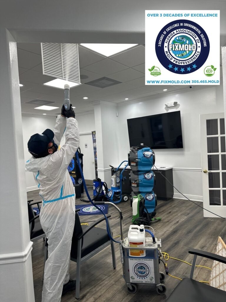 Fixmold Miami