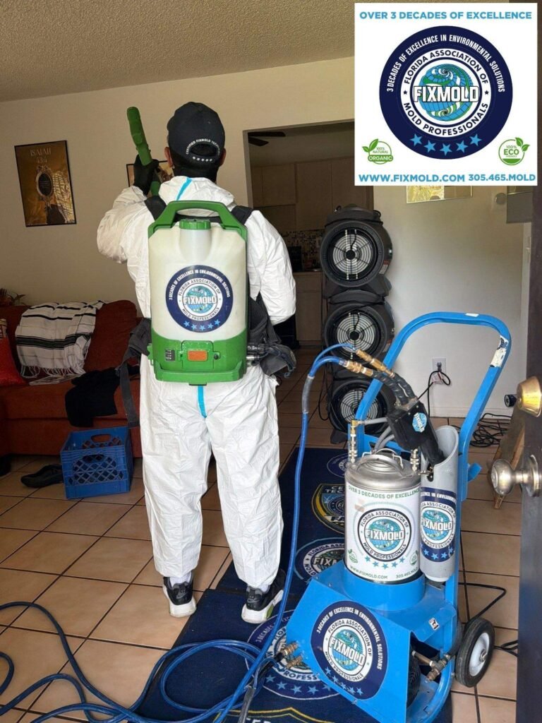 mold remediation by Fixmold