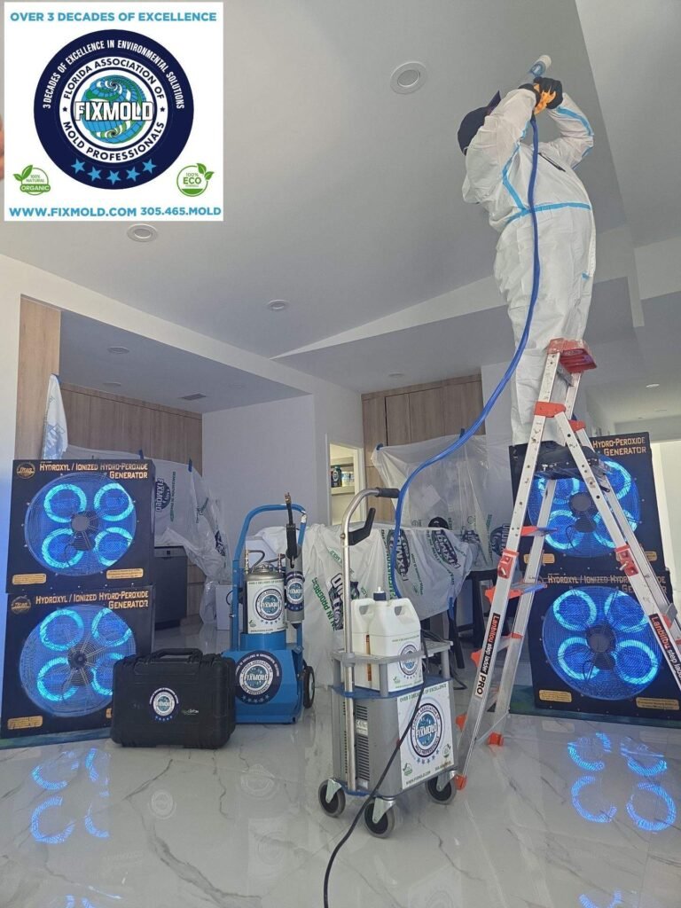 mold remediation by Fixmold