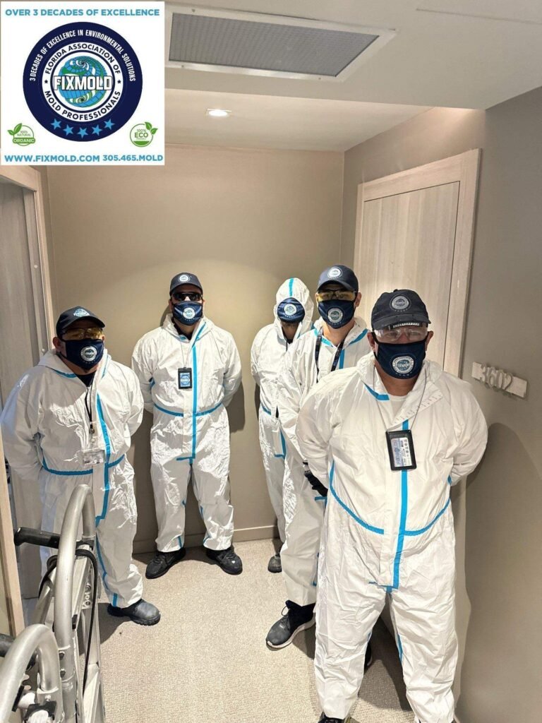 Fixmold Team