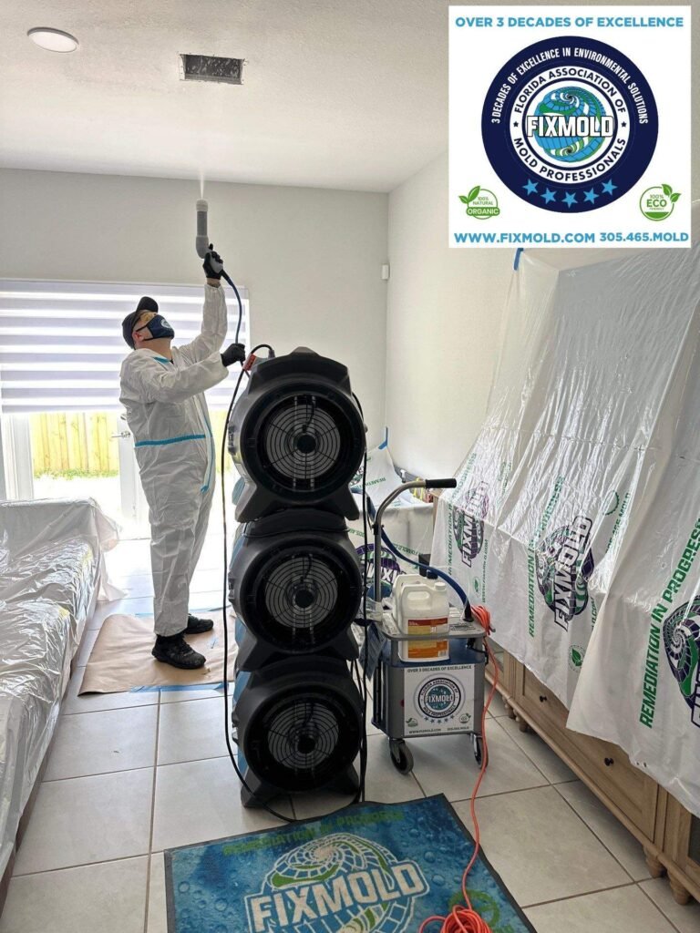 mold remediation by Fixmold