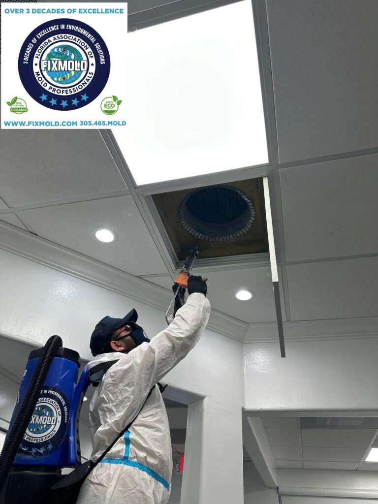 mold remediation by Fixmold