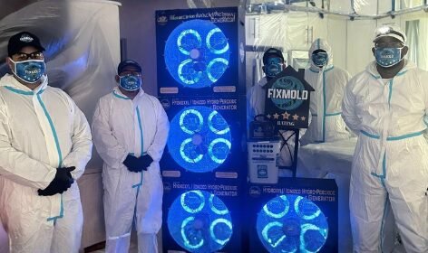 Mold testing equipment