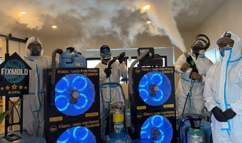 Mold removal machines