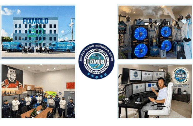 mold-remediation-miami