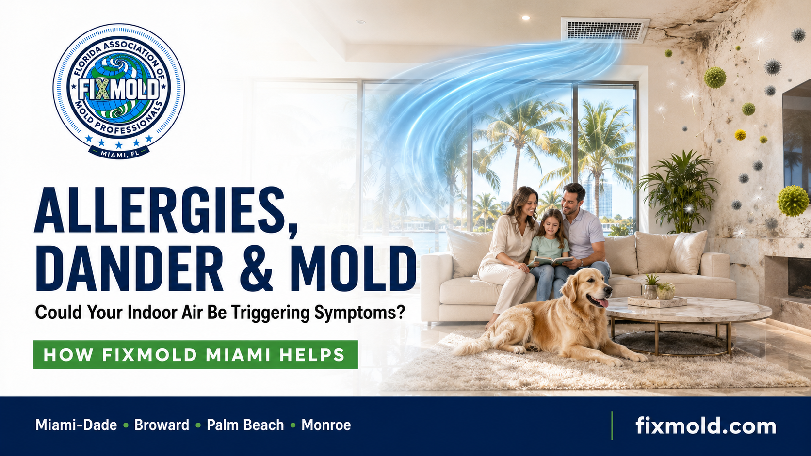 fixmold Miami