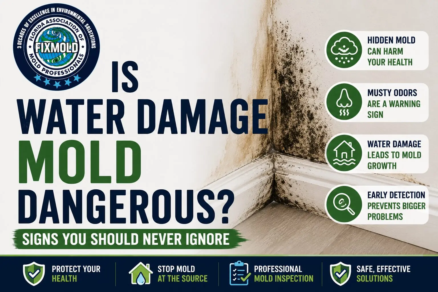 is water damage mold dangerous