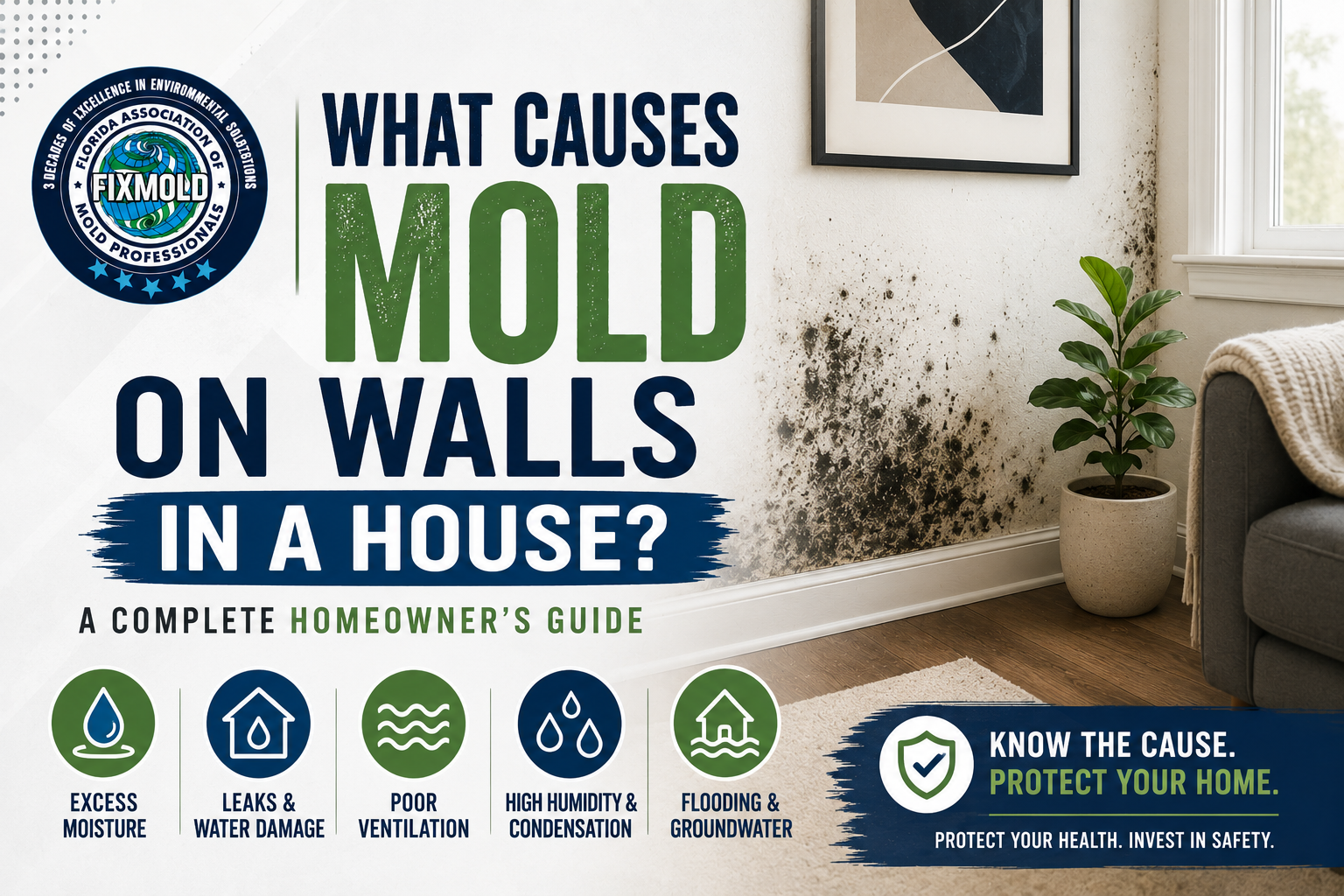 what causes mold on walls in a house