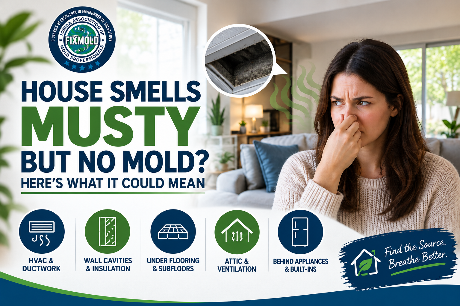 house smells musty but no mold
