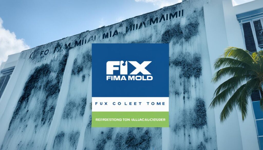 Fix Mold Miami