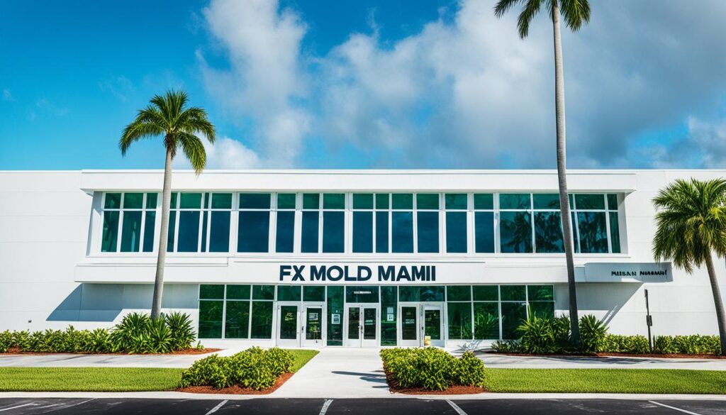 Fix Mold Miami