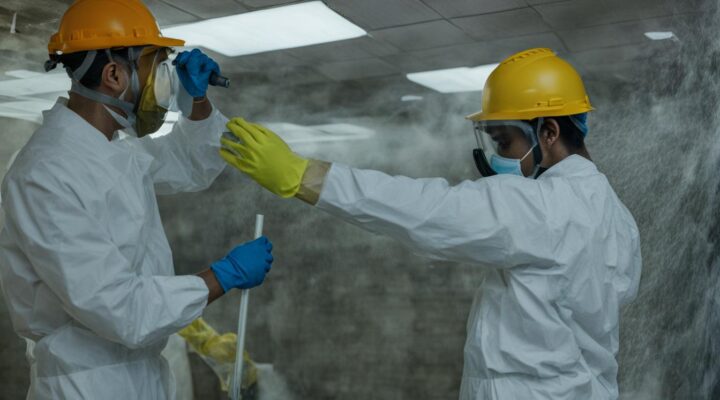 How to choose a mold remediation service in Miami for businesses?