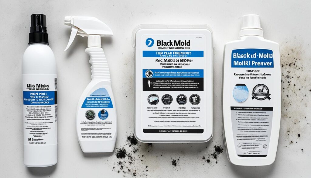 black mold prevention kit image