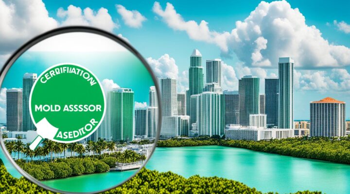 miami mold assessment and qualification