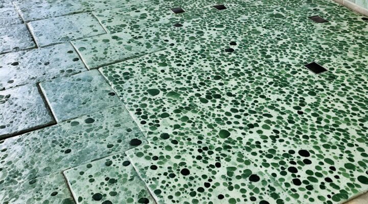 mold on flagstone tile shower floor miami