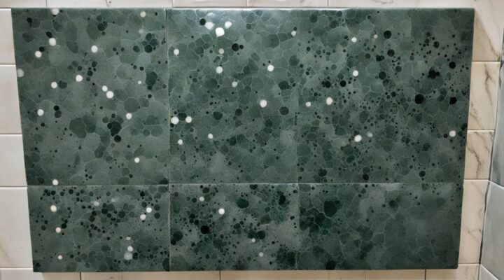mold on soapstone tile shower bench miami fl