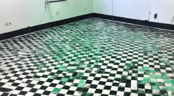 mold removal from ceramic tiles miami