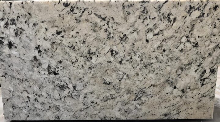 mold removal from granite countertops miami