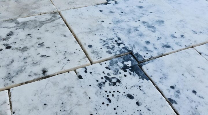 mold removal from marble tile pavers miami