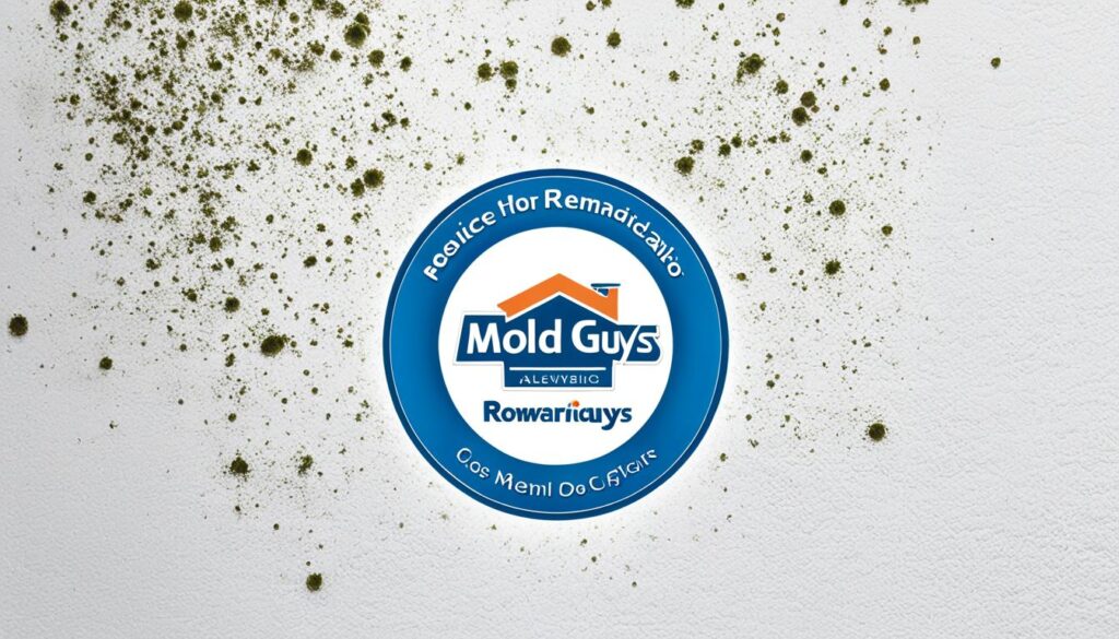 professional mold removal venice fl